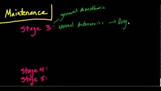 The Stages of Anesthesia: The Basics (Guedel's Classificaiton)