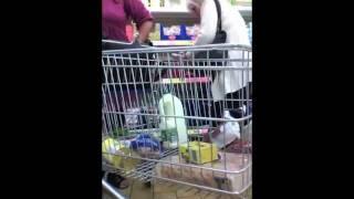 Time Lapse: Shopping At Lidl