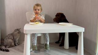 Will Baby Share Treats with Dog or Cat?