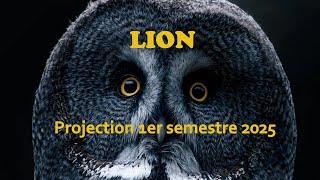 LION - Projection 1ère partie 2025