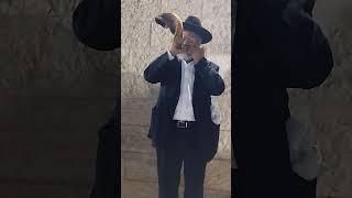 הגאון הצדיק רבי אפרים חממי זצ"ל בתקיעת שופר