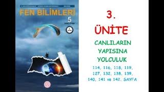 5. SINIF FEN BİLİMLERİ DERS KİTABI MEB YAYINLARI 3. ÜNİTE CANLILARIN YAPISINA YOLCULUK