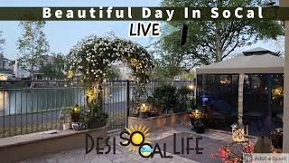 Beautiful day in SoCal | Live Vlog #13 | Desi Socal Life | Southern California |