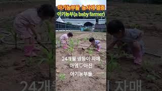 아기농부 농사 체험 #a twin farmer  #아기농부