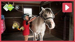 WOW LILLY KAN EEN TRUCJE MET HAAR PAARD HARRY  | Beestenbrigade Missie | NPO Zappelin