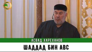 Асвад - Шаддад бин Авс