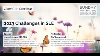 2023 Challenges in SLE