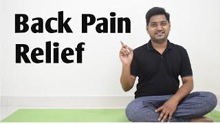 5  Simple back pain relief exercises/ How to relieve back pain - Nityal Physio