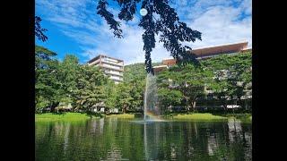 PICO DE LORO