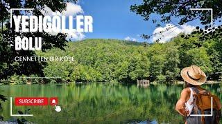 Yedigöller Milli Parkı'nda Keyifli Bir Gün #bolu #yedigöller