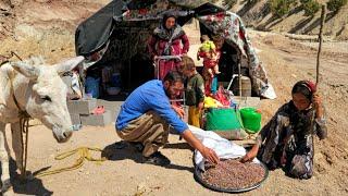 Mountain Harvest: Collecting Wild Pistachios and Family Care"