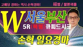 고배당 경마는 역시 손혁 경마 5/25 (일) 서울/부산 복병마 내용을 확인해 보세요!!