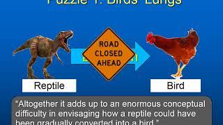 Puzzles for Evolutionists: A Good Answers Ministries Christian Apologetics Video