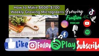 How to Grow and Sell Microgreens: Homestead Side Hustles