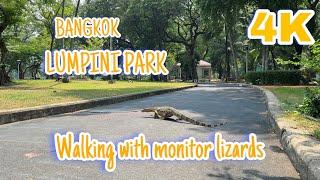 Lumpini Park Walking Tour | Bangkok, Thailand | Water monitor lizards in city center | 4K 60 fps