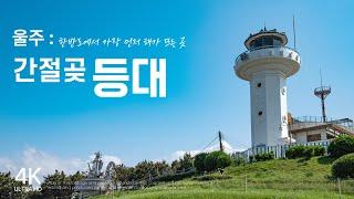 울주 간절곶 등대ㅣ등대ㅣ소망우체통ㅣ국내여행ㅣ울산가볼만한곳ㅣ울주군 ㅣ여행지추천ㅣ여행지정보