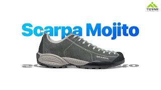 Scarpa Mojito