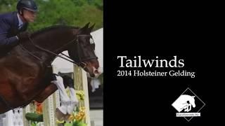 Tailwinds October 2019 2