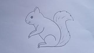 how to draw squirrel drawing easy step by step@Aarav Drawing Creative