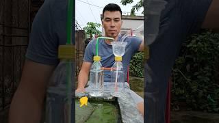 Make a Continuous Flowering Fountain, Made From Plastic Bottles