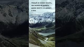 Афоризмы о жизни, одиночестве и свободе | Короткие философские размышления | Alex Lindenberg