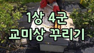 2021년 5월 14일 1상 4군 교미상 꾸리기