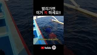 발리 (Bali)가면 이거 꼭 하셔야 합니다! #돌고래투어 #발리여행#lovina