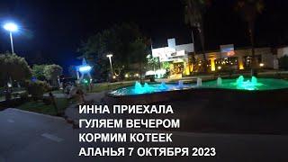 ПРИЕХАЛА ИННА ГУЛЯЕМ КОРМИМ КОТЕЕК ВЕЧЕР 6 ОКТЯБРЯ АЛАНЬЯ ТУРЦИЯ 2023