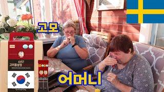 Swedish in-laws try Korean Red Ginseng for The First Time | Suprise GIFT from Korean son-in-law