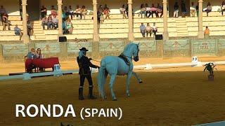 SPAIN horse dressage at Ronda (Andalucia, May 2016)