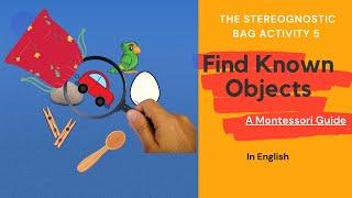 Finding Known Objects: Stereognostic (Mystery) Bag Activity5 - Sensorial Activity | Montessori Guide