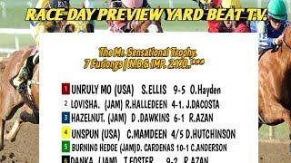 RACE DAY PREVIEW | YARD BEAT T.V. Saturday November 30.2024