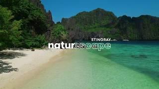 Stingray Naturescape 4K promo