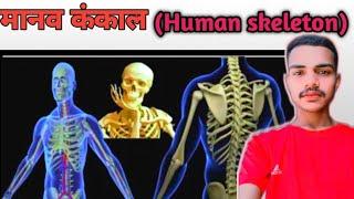 Human skeleton| Bone| Cartilage | Skelton system|Ankit bharti #biology