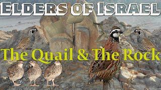 ELDERS OF ISRAEL: THE PARABLE OF THE QUAIL AND THE ROCK EXPLAINED WITH PRECEPTS #BIBLEONLY #EOI