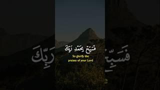 قرآن كريم  | تلاوة رائعة