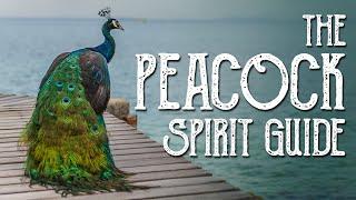 Peacock Spirit Guide - Ask the Spirit Guides Oracle - Totem Animal - Power Animal - Magical Crafting