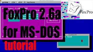 FoxPro 2.6a for MS-DOS complete tutorial for beginners - April 2024 - 42c241d9