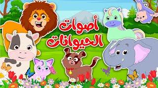 أصوات الحيوانات لتعليم الأطفال | حيوانات الغابة