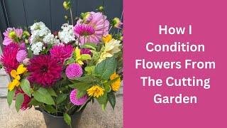 How I Condition Flowers From The Cutting Garden