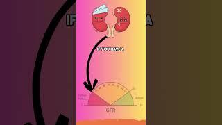 Understanding GFR Test: A Key Indicator of Kidney Function #GFRTestExplained