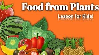 Foods from plants for kids| Foods that we get from plants | Plants give us food | Science for kids