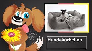  Welches Hundekörbchen ist wirklich gut und geeignet? – Kaufberatung und Tipps