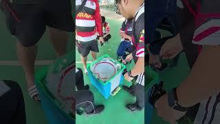 Extreme Finish! Wizard Rod vs Wizard Rod | Beyblade X Tournament Saujana Upperground XXIII