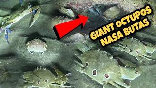 GIANT OCTUPOS at maraming Blue Crabs Ang Nahuli ko Night Spearfishing Jackpot