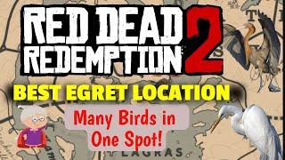 BEST EGRET LOCATION   MANY BIRDS!   Reddish Egret, Snowy Egret & Little Egret - RDR2