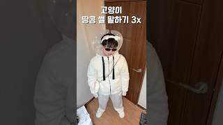 고양이 땅콩 썰 3x