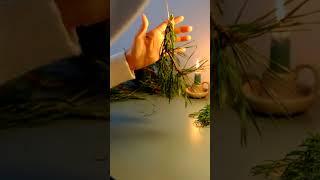 Creating Branch Garland Out Of Nature  #christmas #garland #zerowaste  #christmasdecor #foraging