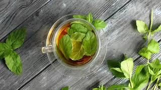 Organic tea wholesale suppliers