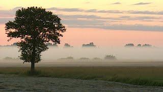 Biebrzański Park Narodowy